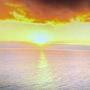 Meet your Posher, Elva